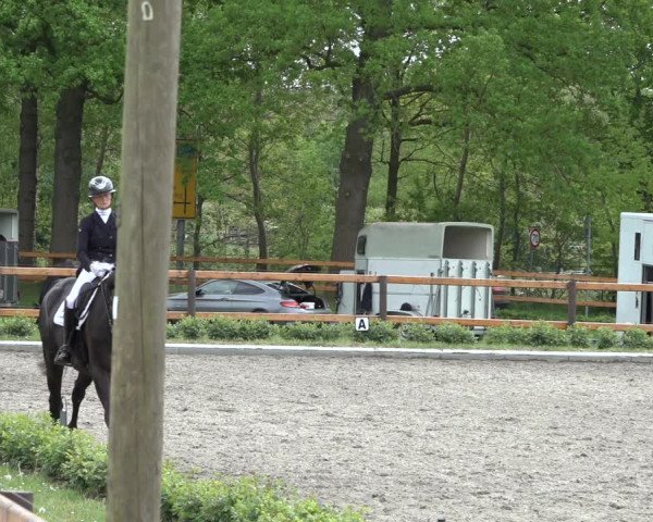 Reitturnier Schwanewede 2022