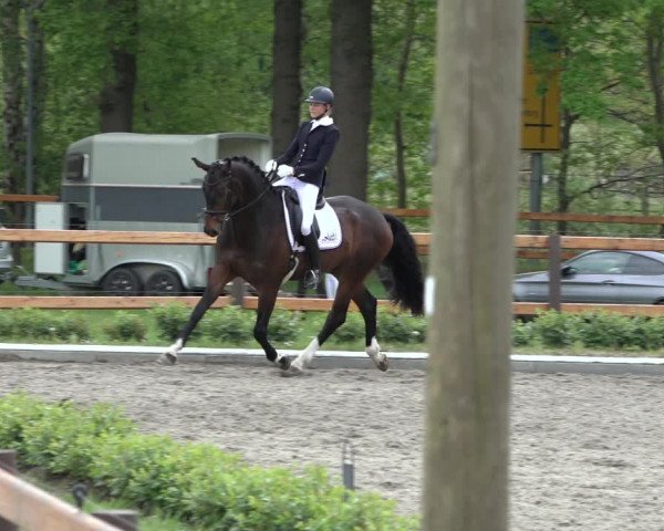 Reitturnier Schwanewede 2022