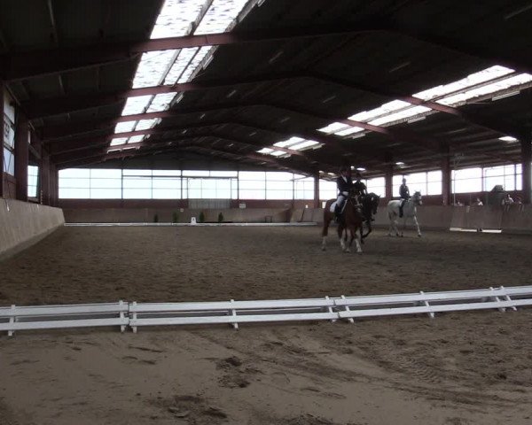 Reitturnier Ostenfelde-Vornholz 2022