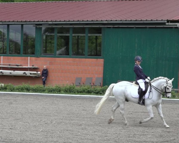 Reitturnier Schwanewede 2022
