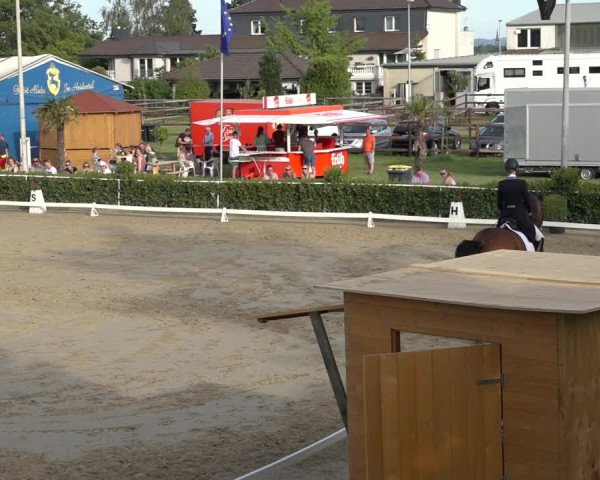 Reitturnier Bornheim-Widdig 2022