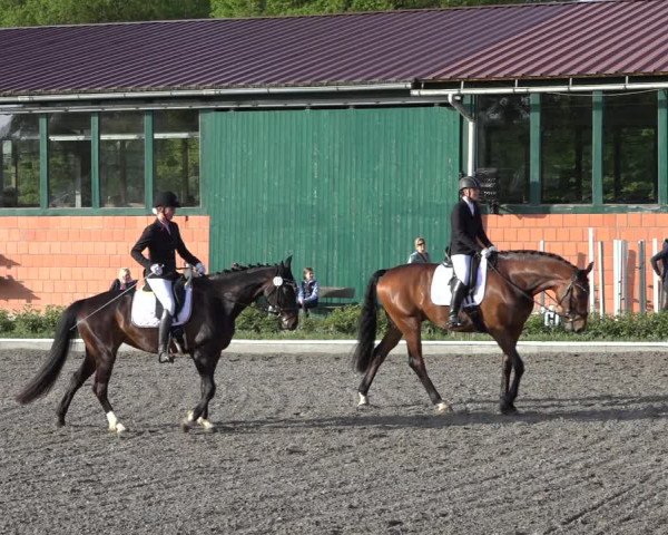 Reitturnier Schwanewede 2022
