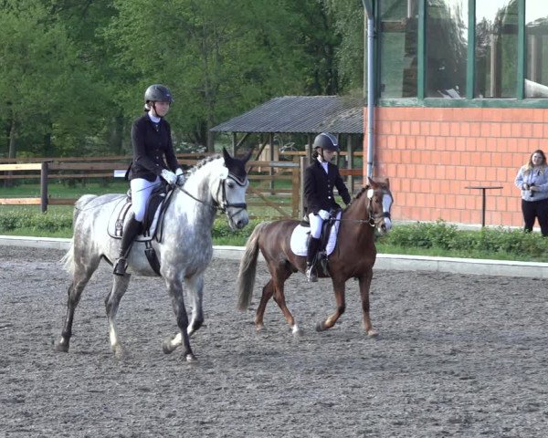 Reitturnier Schwanewede 2022