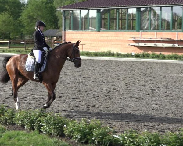 Reitturnier Schwanewede 2022