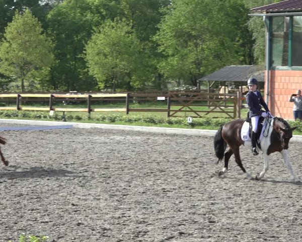 Reitturnier Schwanewede 2022