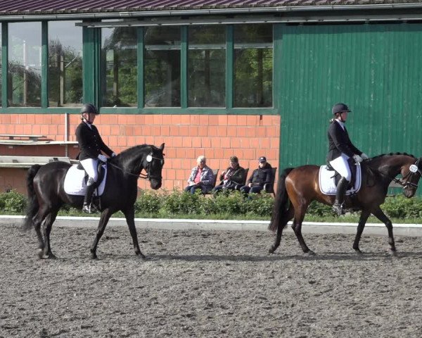 Reitturnier Schwanewede 2022