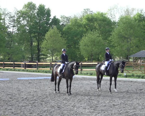 Reitturnier Schwanewede 2022