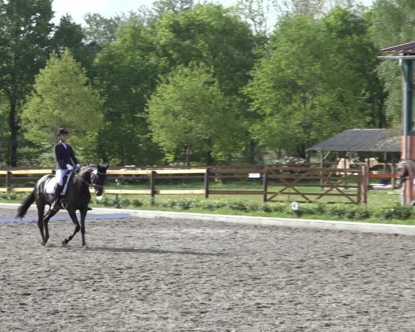 Reitturnier Schwanewede 2022