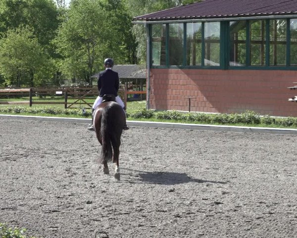 Reitturnier Schwanewede 2022