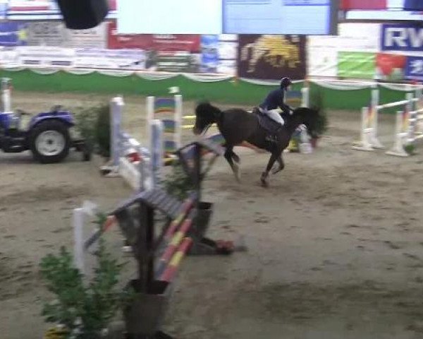 jumper Rocky Rockford (Rhinelander, 2003, from Rocket Star)