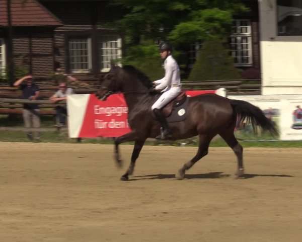 Reitturnier Münster-Angelmodde 2022