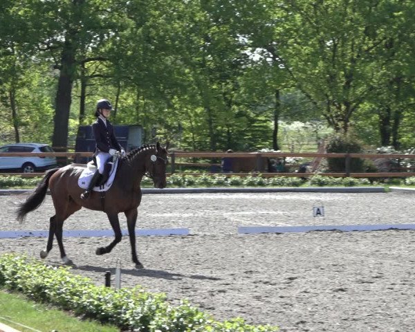Reitturnier Schwanewede 2022