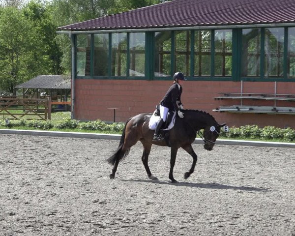 Reitturnier Schwanewede 2022