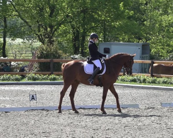 Reitturnier Schwanewede 2022