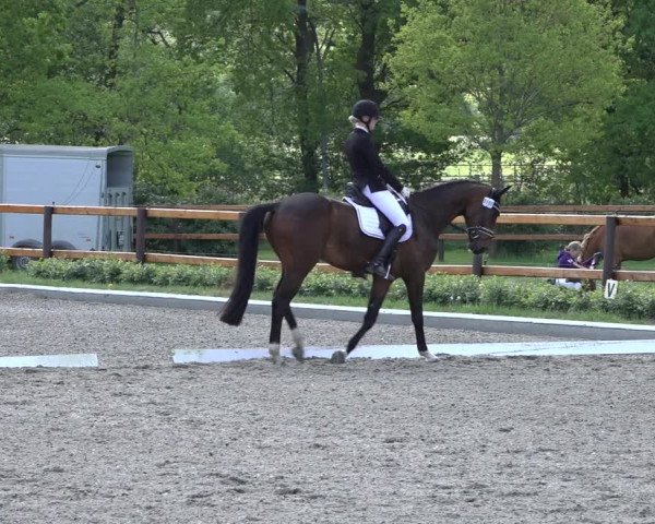 Reitturnier Schwanewede 2022