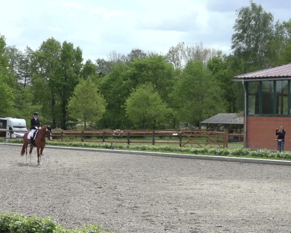 Reitturnier Schwanewede 2022