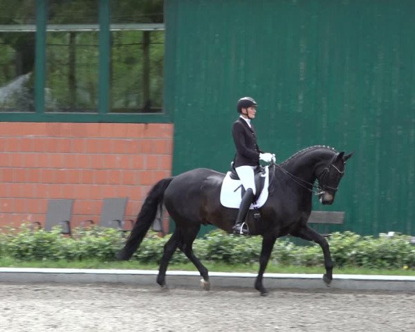 Reitturnier Schwanewede 2022