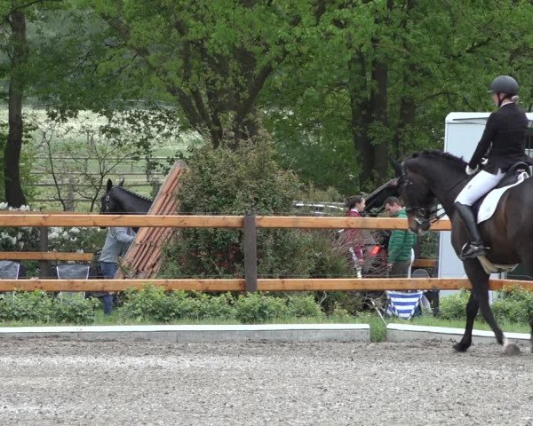 Reitturnier Schwanewede 2022