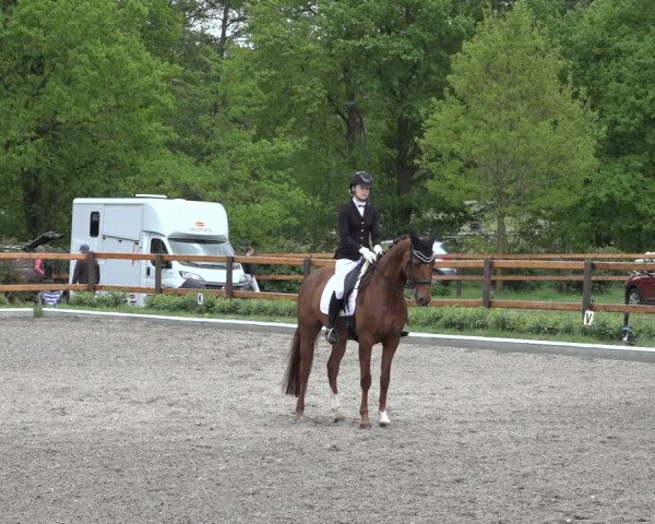 Reitturnier Schwanewede 2022