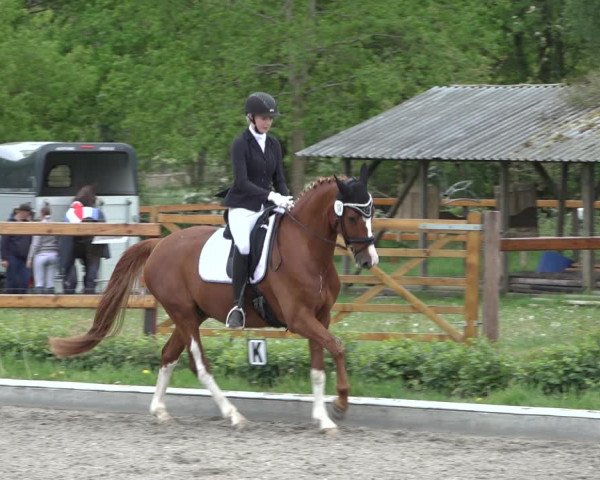 Reitturnier Schwanewede 2022
