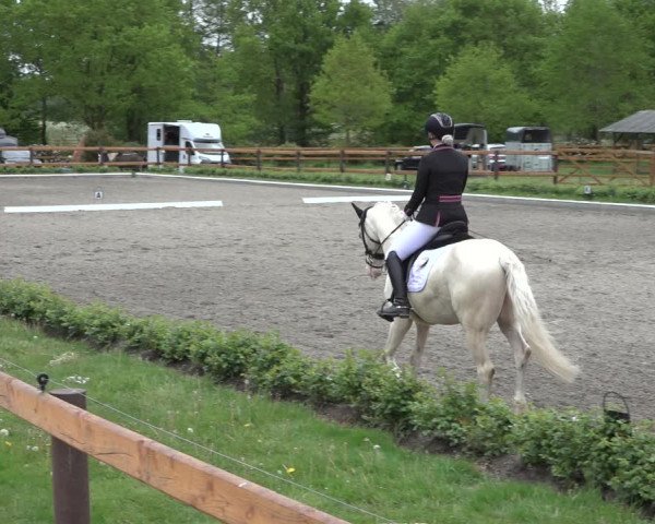 Reitturnier Schwanewede 2022