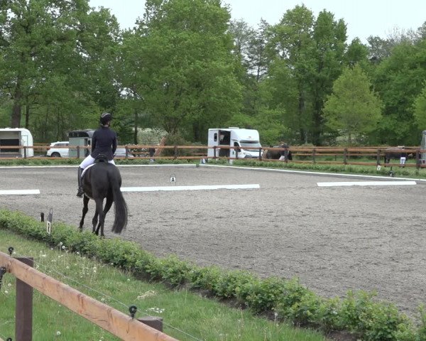 Reitturnier Schwanewede 2022