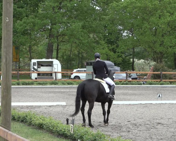 Reitturnier Schwanewede 2022