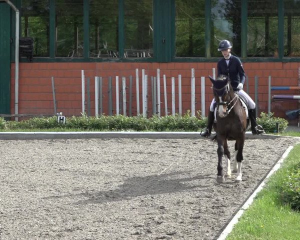 Reitturnier Schwanewede 2022