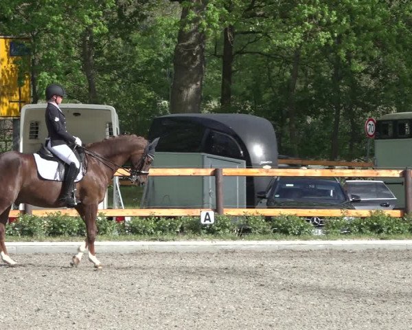 Reitturnier Schwanewede 2022