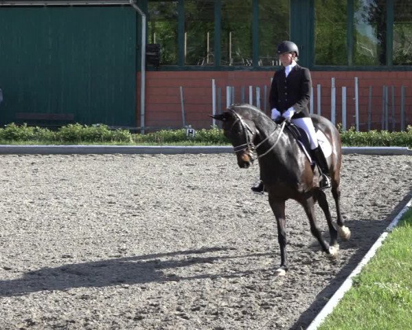 Reitturnier Schwanewede 2022