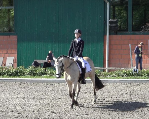 Reitturnier Schwanewede 2022