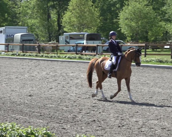 Reitturnier Schwanewede 2022