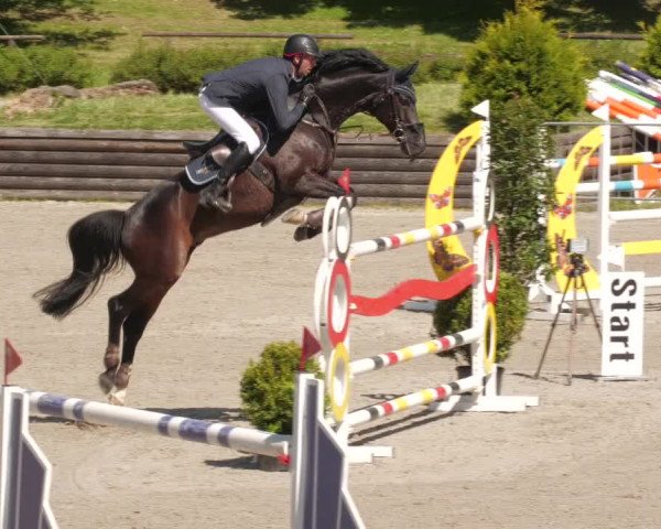 Reitturnier Tübingen 2022