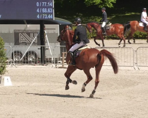 Reitturnier Tübingen 2022