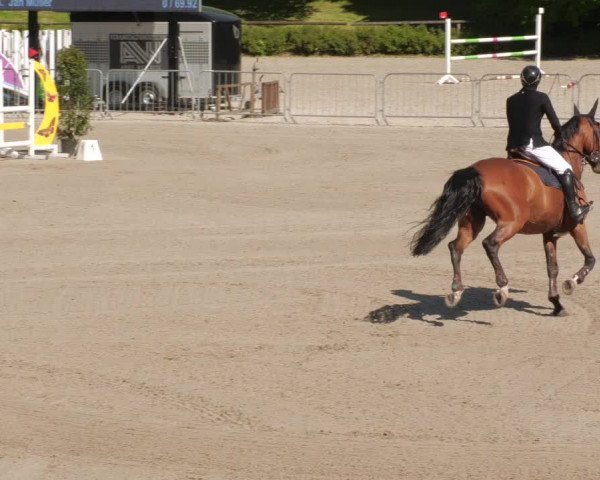 Reitturnier Tübingen 2022