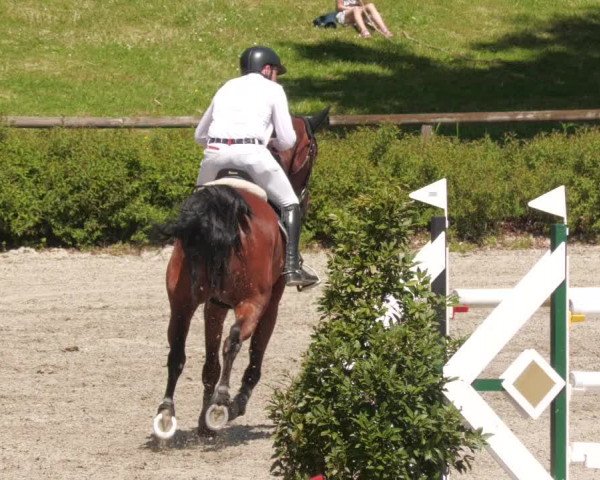 Reitturnier Tübingen 2022