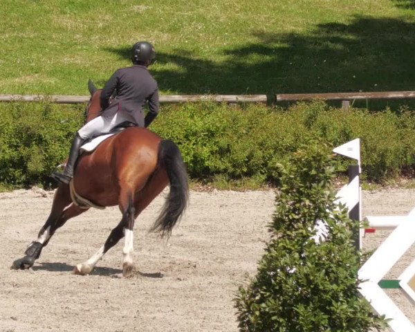 Reitturnier Tübingen 2022