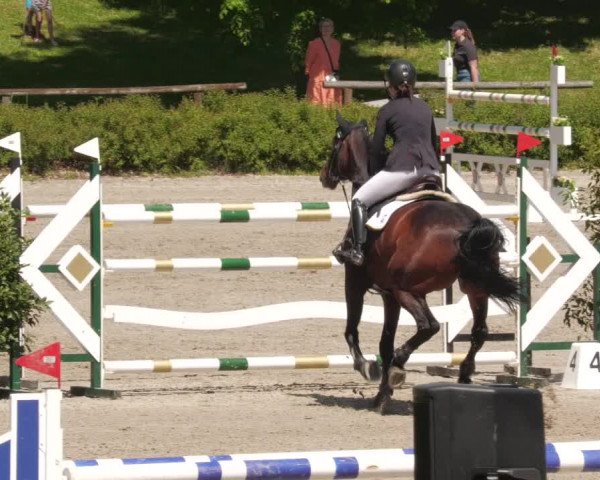 Reitturnier Tübingen 2022