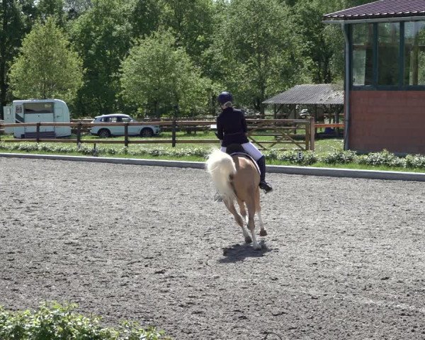 Reitturnier Schwanewede 2022