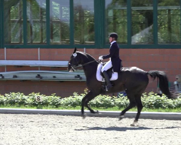 Reitturnier Schwanewede 2022