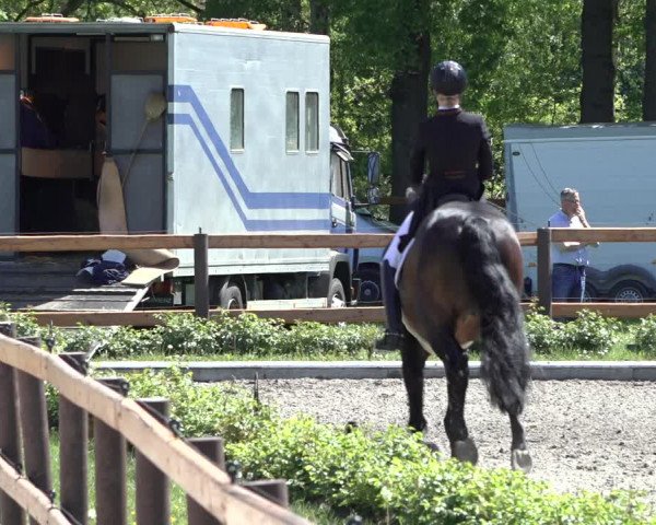 Reitturnier Schwanewede 2022