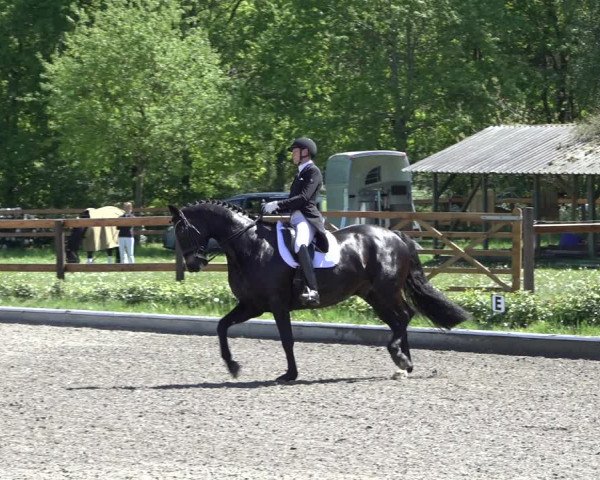 Reitturnier Schwanewede 2022
