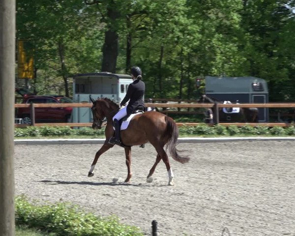 Reitturnier Schwanewede 2022