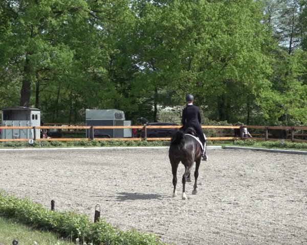 Reitturnier Schwanewede 2022