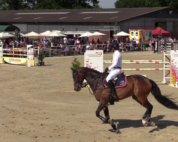 Reitturnier Ostenfelde-Vornholz 2022