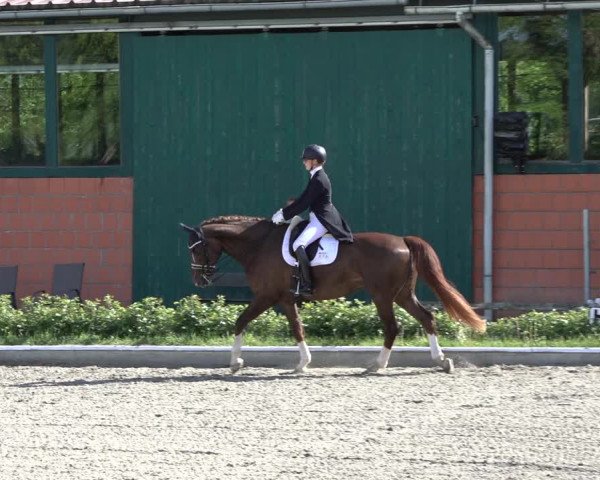 Reitturnier Schwanewede 2022