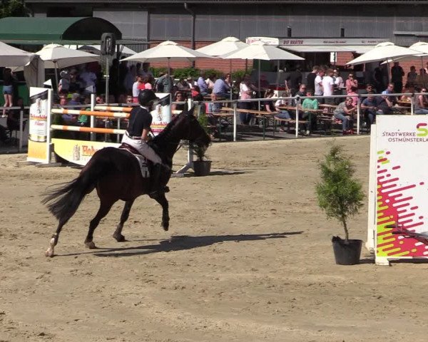 Reitturnier Ostenfelde-Vornholz 2022