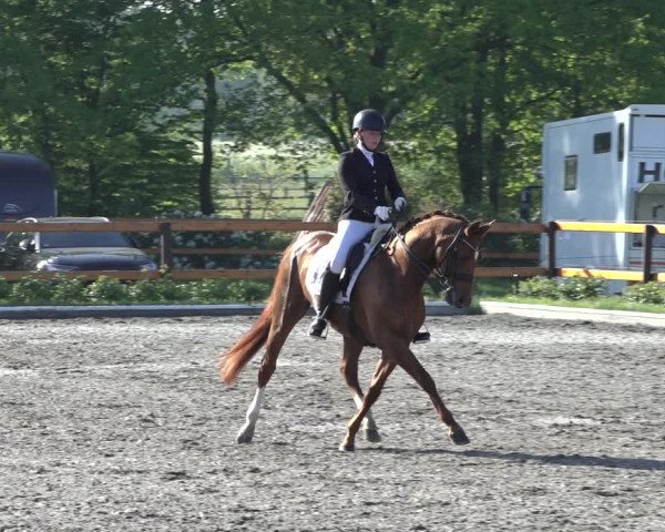 Reitturnier Schwanewede 2022