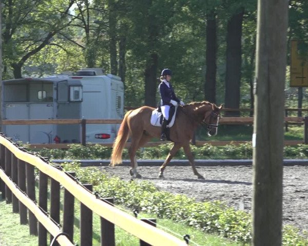 Reitturnier Schwanewede 2022