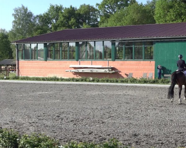 Reitturnier Schwanewede 2022